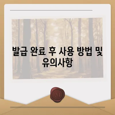 카카오페이와 Kpass를 통한 모바일 교통카드 발급 방법