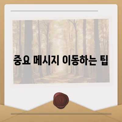 카카오톡 데이터를 새 폰으로 손쉽게 옮기기