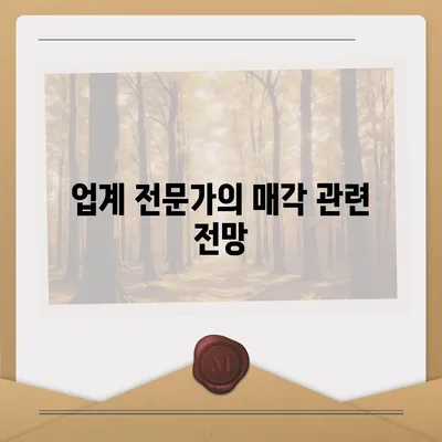 카카오 계열사 매각 임박? 주가 전망 분석