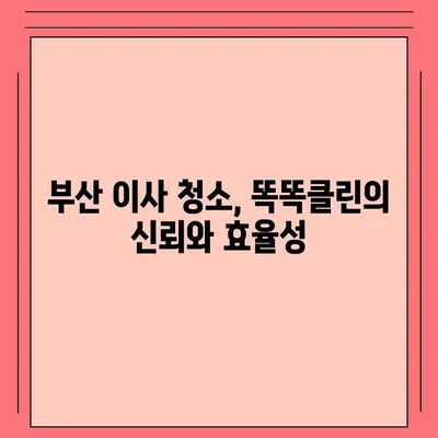 부산 이사 청소업체 똑똑클린, 하루 한 집만 완벽히 청소하는 비결