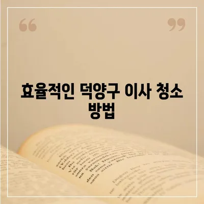 덕양구 이사 청소 작업 과정