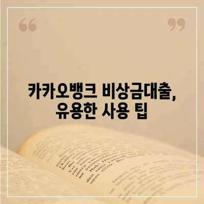 카카오뱅크 pc버전 비상금대출 후기