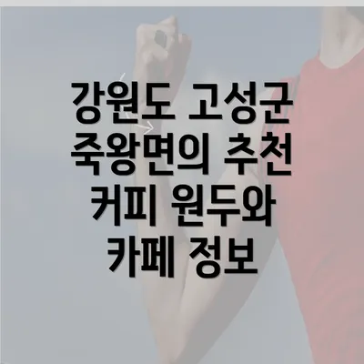 강원도 고성군 죽왕면의 추천 커피 원두와 카페 정보