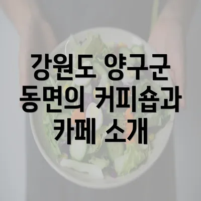 강원도 양구군 동면의 커피숍과 카페 소개