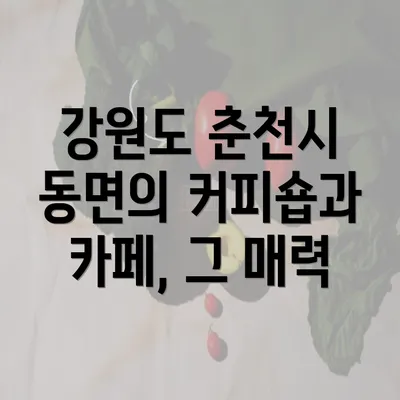 강원도 춘천시 동면의 커피숍과 카페, 그 매력