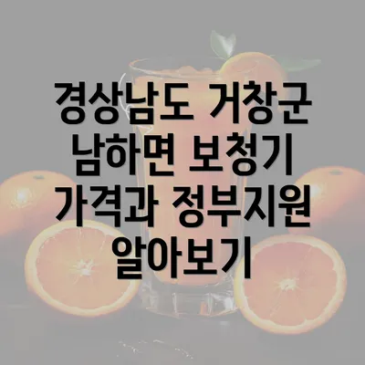 경상남도 거창군 남하면 보청기 가격과 정부지원 알아보기