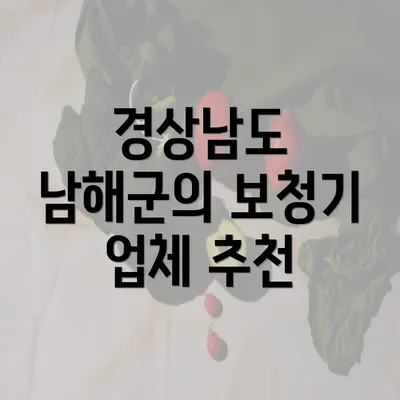 경상남도 남해군의 보청기 업체 추천