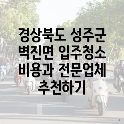 경상북도 성주군 벽진면 입주청소 비용과 전문업체 추천하기