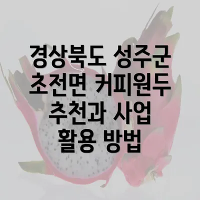 경상북도 성주군 초전면 커피원두 추천과 사업 활용 방법