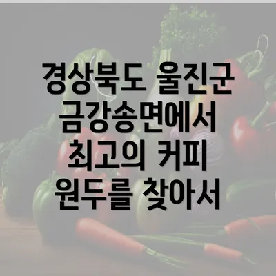 경상북도 울진군 금강송면에서 최고의 커피 원두를 찾아서