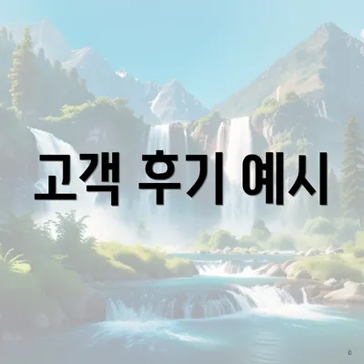 고객 후기 예시