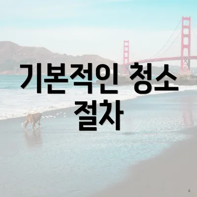 기본적인 청소 절차