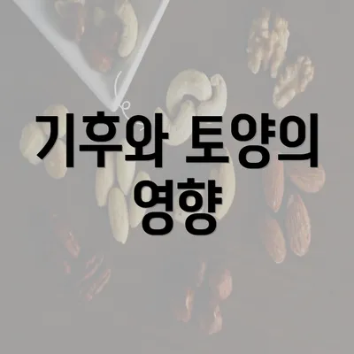 기후와 토양의 영향