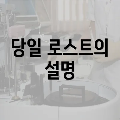 당일 로스트의 설명