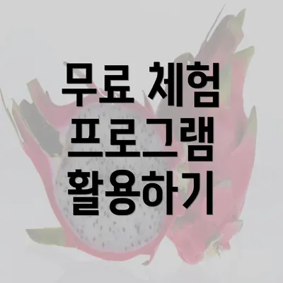 무료 체험 프로그램 활용하기