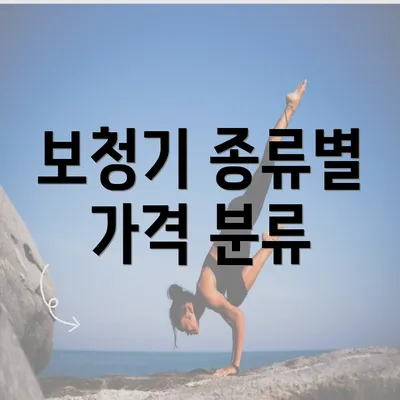 보청기 종류별 가격 분류