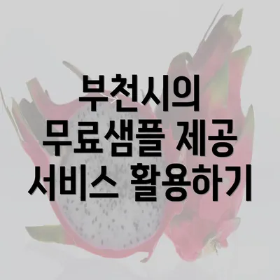 부천시의 무료샘플 제공 서비스 활용하기