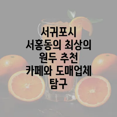 서귀포시 서홍동의 최상의 원두 추천 카페와 도매업체 탐구