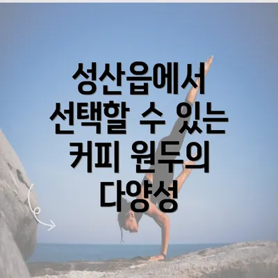 성산읍에서 선택할 수 있는 커피 원두의 다양성