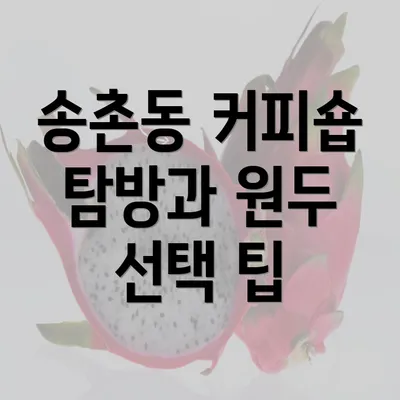 송촌동 커피숍 탐방과 원두 선택 팁