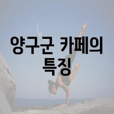 양구군 카페의 특징