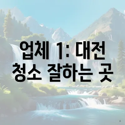 업체 1: 대전 청소 잘하는 곳