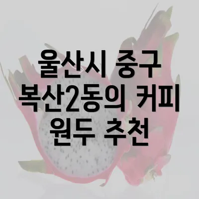 울산시 중구 복산2동의 커피 원두 추천