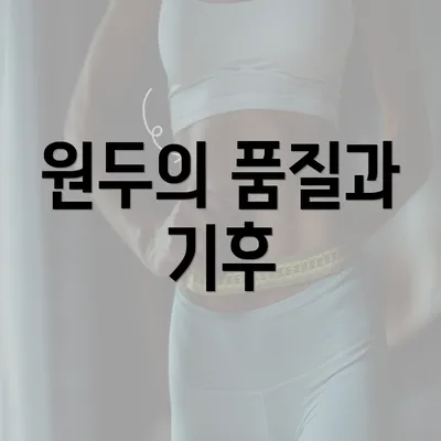 원두의 품질과 기후