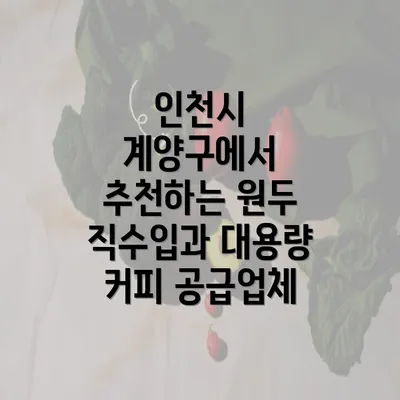 인천시 계양구에서 추천하는 원두 직수입과 대용량 커피 공급업체