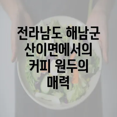 전라남도 해남군 산이면에서의 커피 원두의 매력