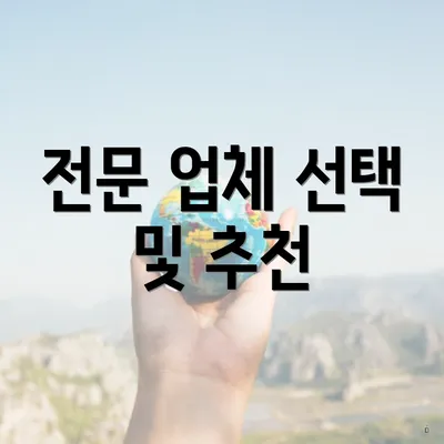 전문 업체 선택 및 추천