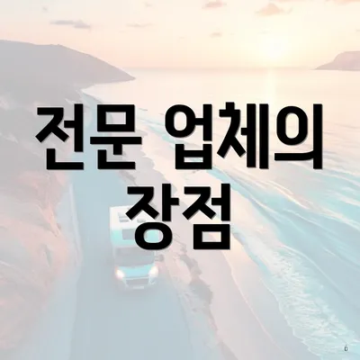 전문 업체의 장점