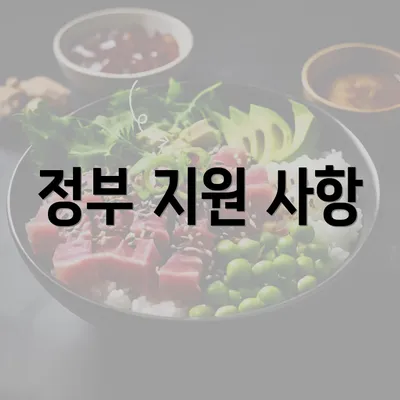 정부 지원 사항