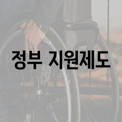 정부 지원제도