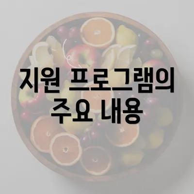 지원 프로그램의 주요 내용