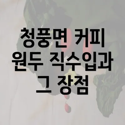 청풍면 커피 원두 직수입과 그 장점