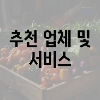 추천 업체 및 서비스