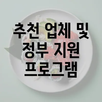 추천 업체 및 정부 지원 프로그램