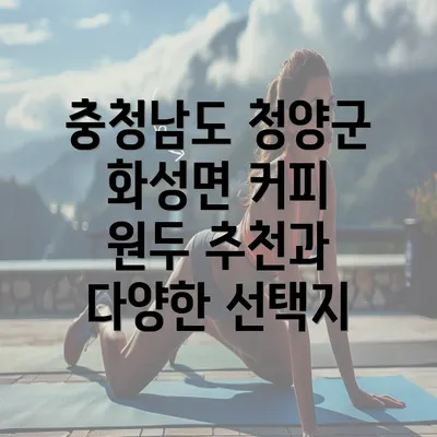 충청남도 청양군 화성면 커피 원두 추천과 다양한 선택지