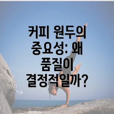 커피 원두의 중요성: 왜 품질이 결정적일까?