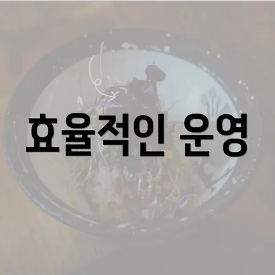 효율적인 운영