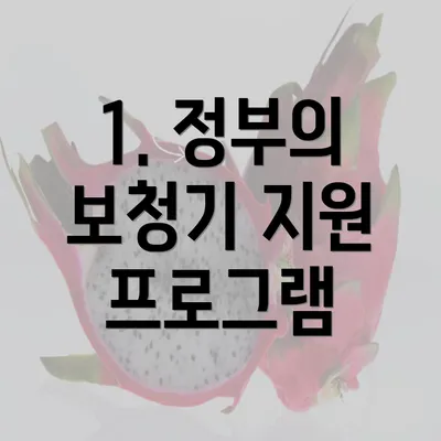 1. 정부의 보청기 지원 프로그램