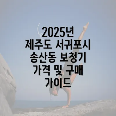 2025년 제주도 서귀포시 송산동 보청기 가격 및 구매 가이드