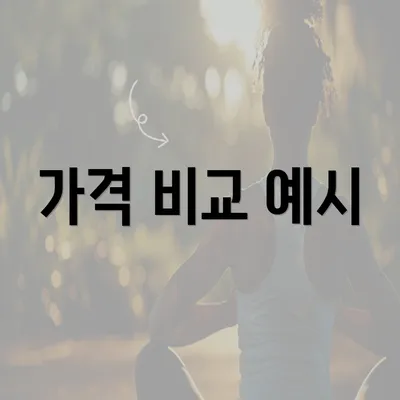 가격 비교 예시