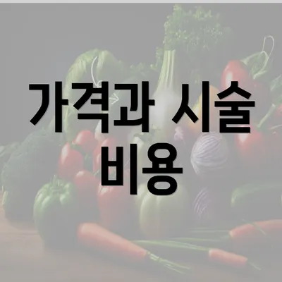 가격과 시술 비용