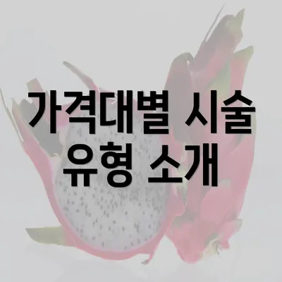 가격대별 시술 유형 소개