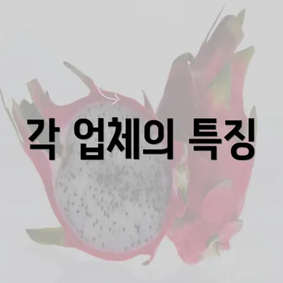 각 업체의 특징