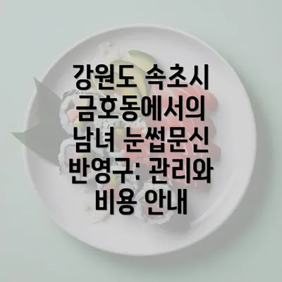 강원도 속초시 금호동에서의 남녀 눈썹문신 반영구: 관리와 비용 안내