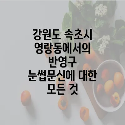 강원도 속초시 영랑동에서의 반영구 눈썹문신에 대한 모든 것