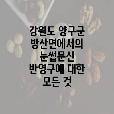 강원도 양구군 방산면에서의 눈썹문신 반영구에 대한 모든 것